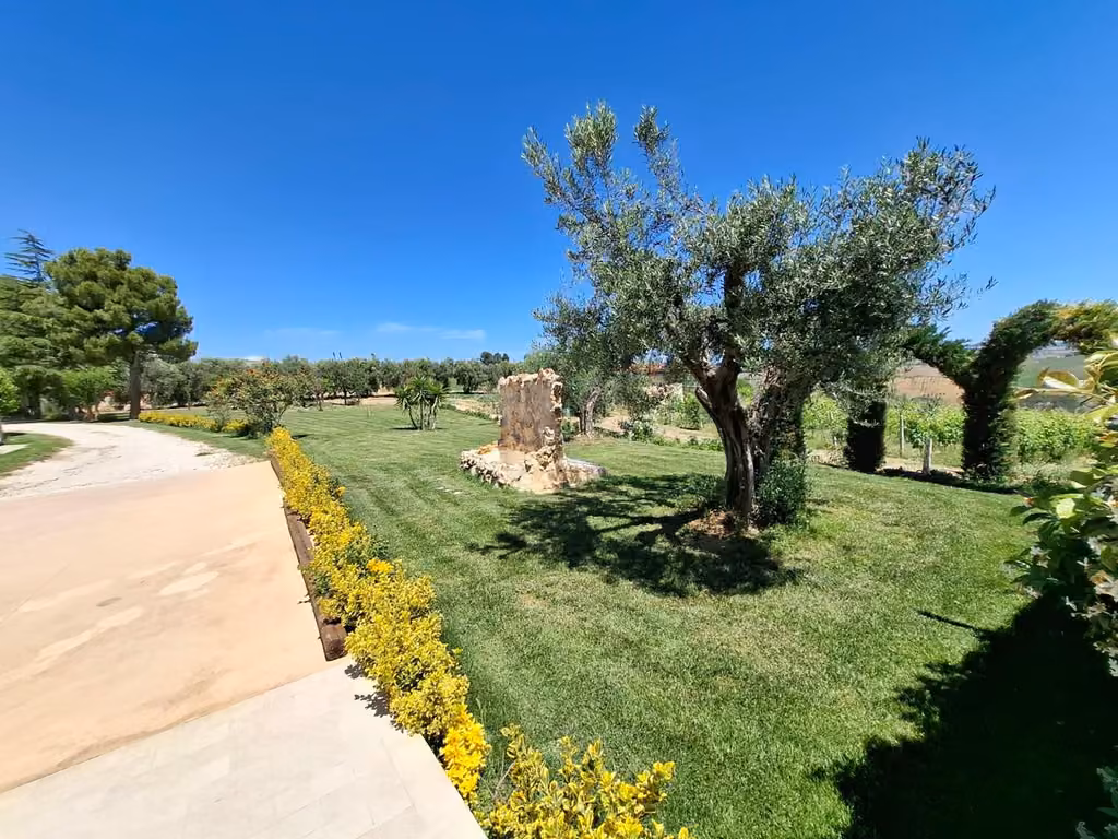 Il giardino e gli spazi esterni verdi della Country House Andromeda a Offida